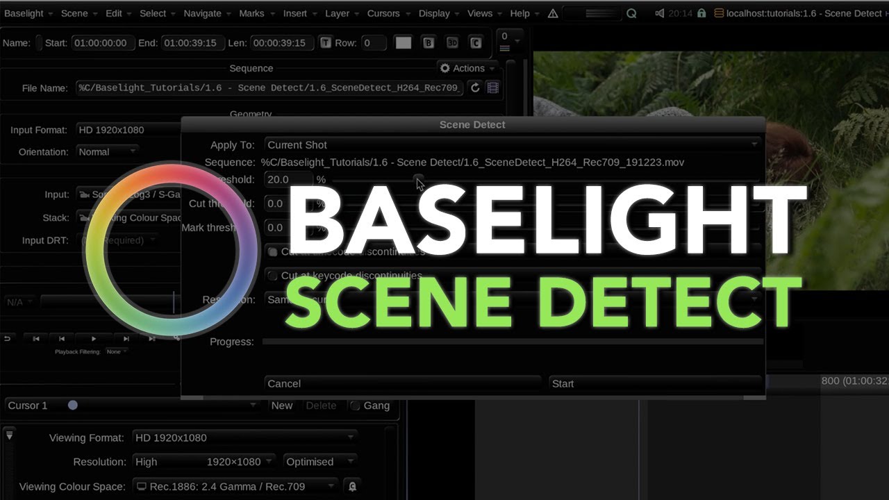 baselight tutorial
